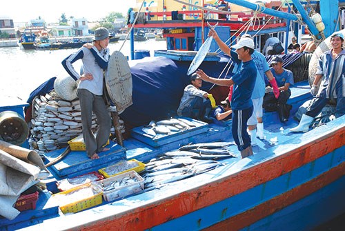 Hiện đại hóa nghề cá - Gian nan sự học của ngư dân (01/5/2016)