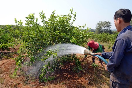 Khắc phục hậu quả nắng nóng, ổn định đời sống người dân và sản xuất.(4/6/2016)