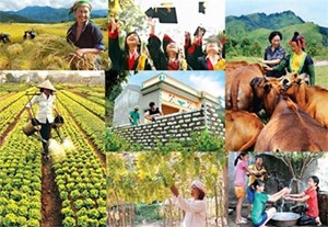 Phương pháp đo lường nghèo đa chiều 2016-2020- giải pháp nhận diện hộ nghèo toàn diện (17/6/2016)