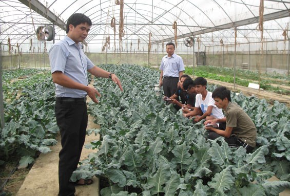 Chuỗi sản xuất rau an toàn - giải pháp đảm bảo vệ sinh an toàn thực phẩm. (04/6/2016)