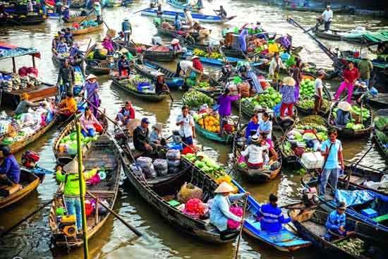 Đồng bằng sông Cửu Long giá trái cây tăng cao, nhà vườn phấn khởi (2/6/2016)