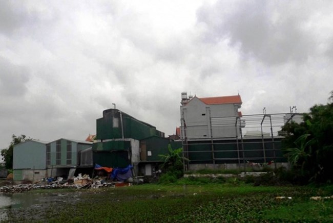 Tình trạng xây dựng nhà xưởng trái phép trên đất nông nghiệp ở huyện Quốc Oai, Hà Nội. (6/7/2016)