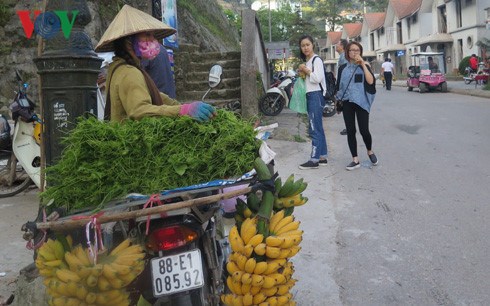 Bảo hiểm xã hội tự nguyện: Nhà nước khuyến khích, lao động thờ ơ (16/8/2016)