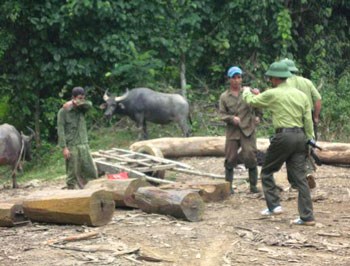 Một cán bộ kiểm lâm tỉnh Lâm Đồng bị một nhóm đối tượng tấn công trong lúc làm nhiệm vụ dẫn đến tử vong (Thời sự đêm 8/8/2016)