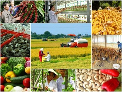 Lần đầu tiên, GDP nông nghiệp tăng trưởng âm 0,18% (Thời sự trưa 19/9/2016)