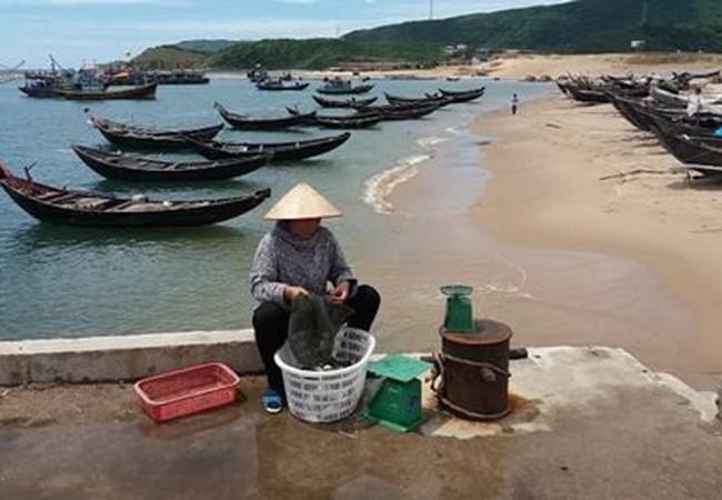 Bồi thường, hỗ trợ thiệt hại sau sự cố Formosa (1/9/2016)