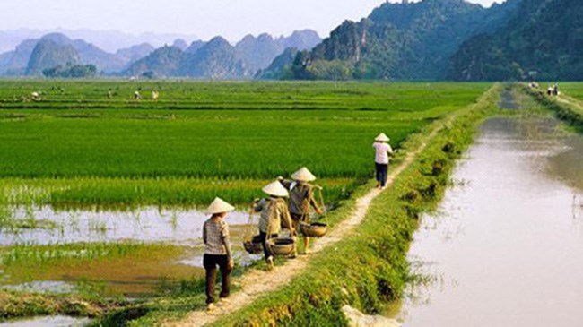 Mở rộng diện miễn thuế đất nông nghiệp (26/9/2016)