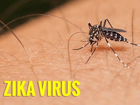 70 quốc gia, vùng lãnh thổ ghi nhận sự lây truyền virus Zika, hôm nay, Bộ Y tế có công văn khẩn  đề nghị các địa phương tăng cường công tác phòng chống dịch bệnh do virus Zika (Thời sự chiều 5/9/2016)