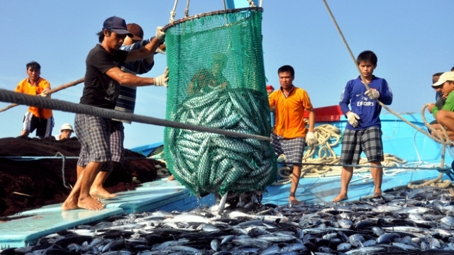 Luật thủy sản (sửa đổi) - căn cứ pháp lý quan trọng để bảo vệ và phát huy giá trị nguồn lợi thủy sản (24/10/2017)