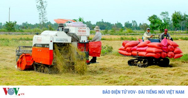 Liên kết sản xuất, ai bảo vệ người nông dân (6/10/2017)