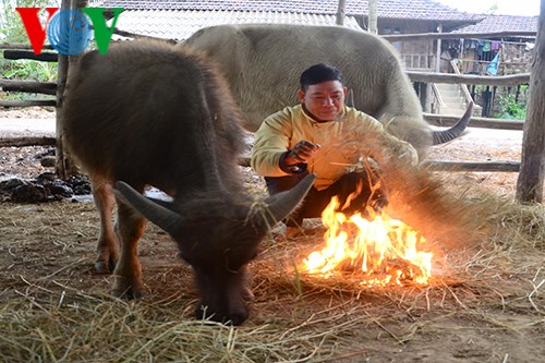 Nâng cao ý thức người dân, chủ động phòng chống rét cho đàn vật nuôi (21/12/2017)