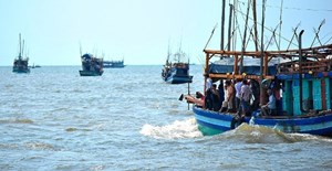 Ngăn chặn tình trạng đánh bắt cá bất hợp pháp – bắt đầu từ chủ tàu  (27/12/2017)