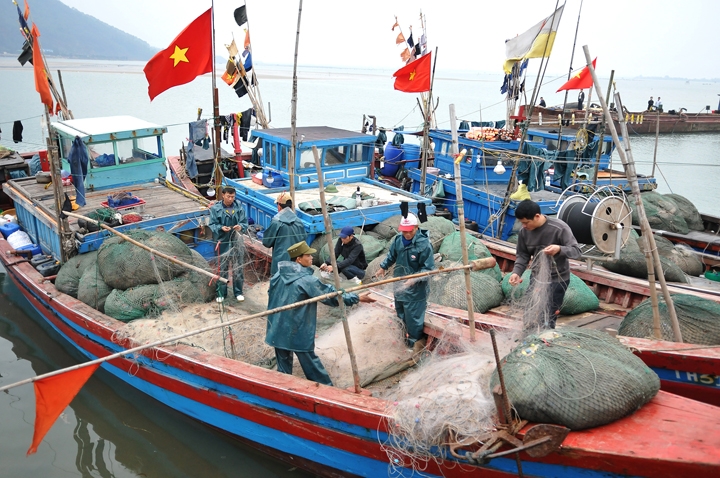 Nâng cao nhận thức, gắn vai trò, trách nhiệm của ngư dân đối với hoạt động bảo vệ nguồn lợi thủy sản (26/2/2017)