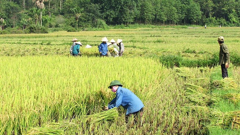 Những khó khăn và nỗ lực trong xây dựng nông thôn mới (31/3/2017)