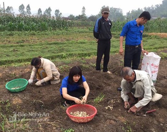 Nghệ An: Làm sao thoát cảnh “giải cứu hành tăm” (24/4/2017)