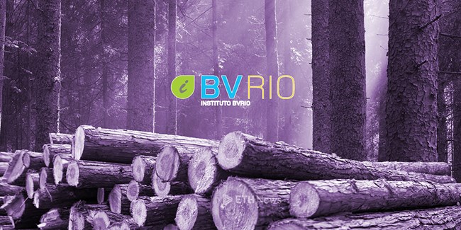 BVRio - ứng dụng công nghệ giải quyết nạn lâm tặc tại Brazil (10/4/2017)