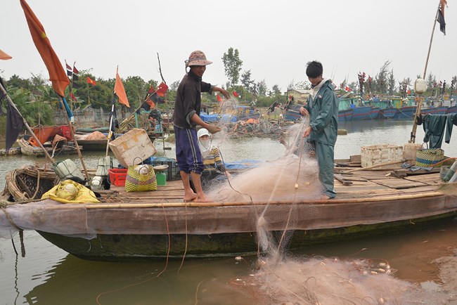 Thiếu lao động nghề biển: Vì sao? (01/5/2017)