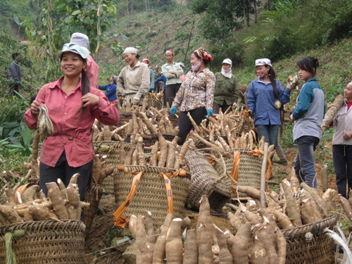 Nhân rộng mô hình làng ứng phó thông minh với biến đổi khí hậu ở nước ta hiện nay (3/4/2017)