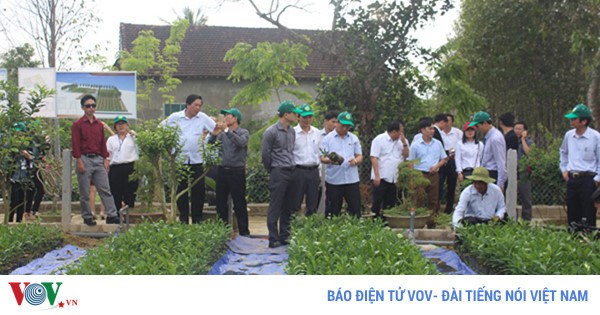 Hà Tĩnh: Những vùng quê đáng sống (9/5/2017)