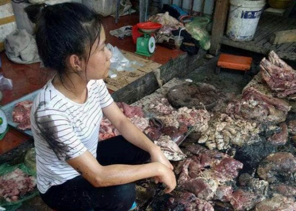 Uỷ ban nhân dân thành phố Hải Phòng họp báo công bố thông tin chính thức về vụ việc cản trở, hất chất bẩn vào quầy kinh doanh thịt lợn tại chợ Lương Văn Can, quận Ngô Quyền (Thời sự trưa 13/5/2017)