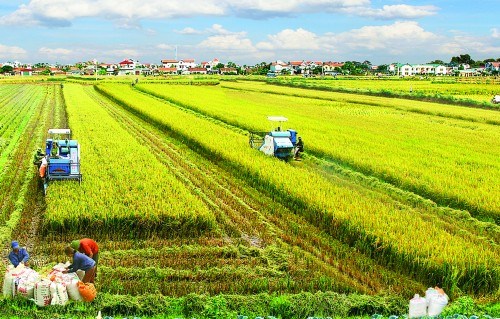 Cần một cú huých thực chất (24/6/2017)