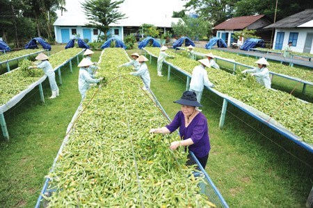 Bảo tồn tri thức bản địa bắt đầu từ sản phẩm sạch (24/6/2017)