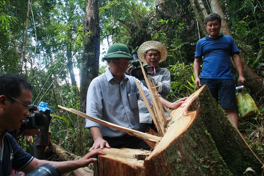 Công an Quảng Nam khởi tố 20 bị can liên quan vụ phá rừng pơ mu (Thời sự đêm 12/7/2017)