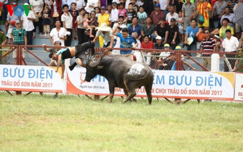 Giải pháp nào cho quản lý văn hóa, lễ hội - Nhìn từ vụ việc hy hữu ở Đồ Sơn (8/7/2017)