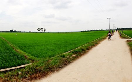 Dễ trăm lần không dân cũng chịu: Sai phạm về đất đai, dồn điền đổi thửa ở xã Cổ Đô, huyện Ba Vì, Hà Nội (28/8/2017)