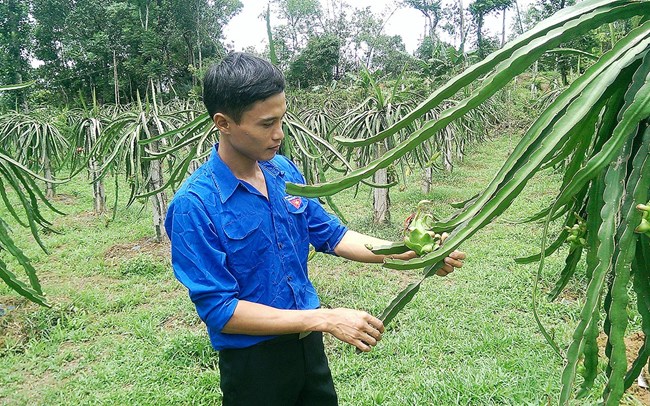 Thanh niên chung tay làm giàu biên giới (26/8/2017)