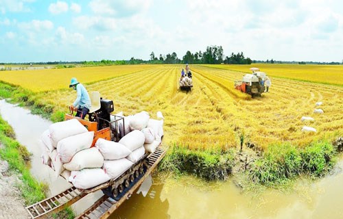 Kịch bản cho nông nghiệp Đồng bằng sông Cửu Long phát triển bền vững, thịnh vượng (28/9/2017)