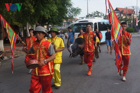 Sau gần 3 tháng bị đình chỉ, vòng loại và chung kết lễ hội chọi trâu Đồ Sơn tiếp tục diễn ra với nhiều thay đổi về quy mô và cách tổ chức (Thời sự trưa 28/9/2017)