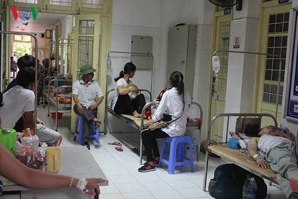 Các chuyên gia y tế nhận định, dịch sốt xuất huyết ở Hà Nội sẽ kéo dài đến tháng 11 tới (Thời sự đêm 24/9/2017)