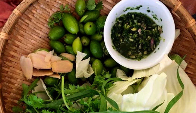 Nhót- món ăn chua khoái khẩu của người Thái Sơn La  (15/01/2018)