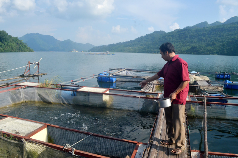 Giải pháp nào đánh thức tiềm năng từ nuôi trồng thủy sản tại các tỉnh miền Bắc (9/10/2018)