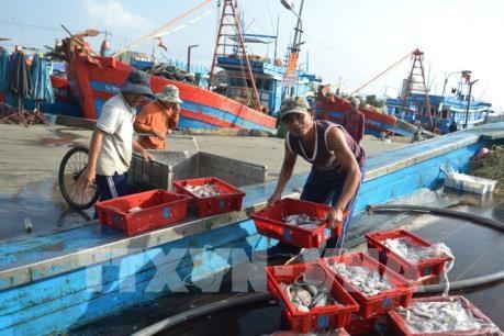 Các cơ quan chức năng và doanh nghiệp chế biến xuất khẩu thủy sản chung tay chống khai thác hải sản bất hợp pháp (26/10/2018)