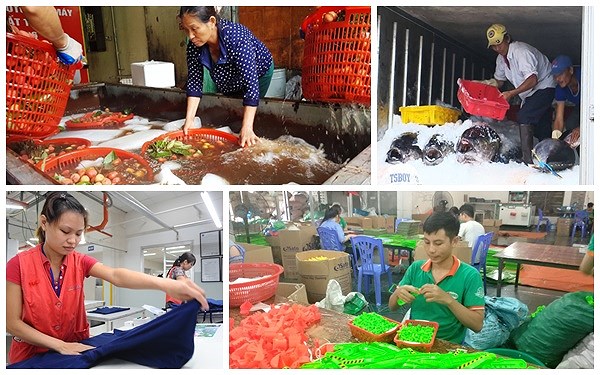 Những điểm cần lưu ý trong xuất khẩu nhìn từ thực tế 9 tháng năm nay (23/10/2018)