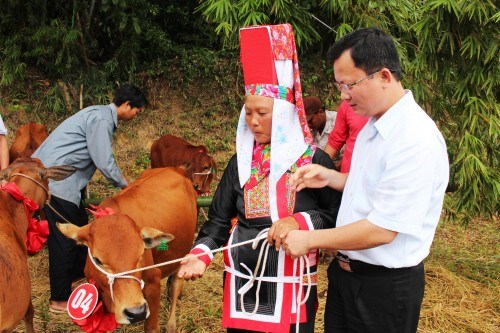 Tháng cao điểm 