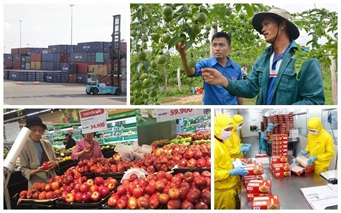 Theo công bố của Ngân hàng Thế giới, nền kinh tế Việt Nam được dự báo sẽ tăng trưởng 6,8% trong năm nay (Thời sự chiều 4/10/2018)