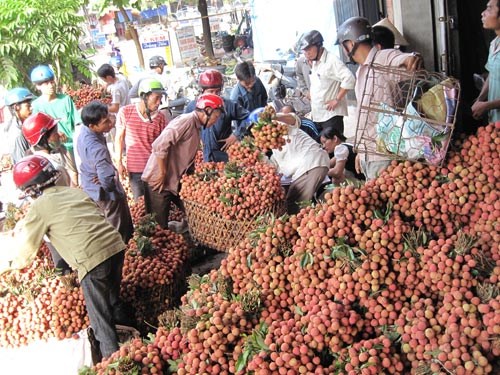 Thêm giá trị cho trái cây Việt ra thế giới (24/11/2018)