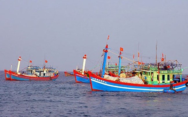 Ngăn chặn các hoạt động môi giới, đầu tư cho tàu cá ngư dân khai thác hải sản trái phép ở vùng biển nước ngoài (13/11/2018)