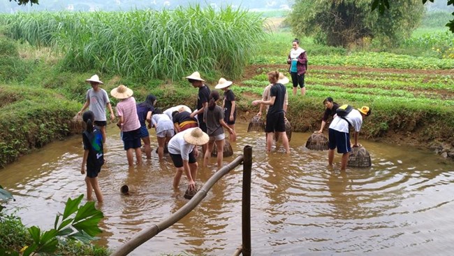 Phát triển du lịch đa chiều trong nông nghiệp (19/11/2018)