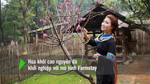 Dự án Farmstay - mô hình du lịch nông nghiệp bền vững cho đồng bào dân tộc thiểu số ở Đồng Văn, Hà Giang (16/11/2018)