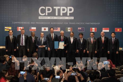 CPTPP bắt đầu có hiệu lực và động lực gắn kết khu vực (28/12/2018)