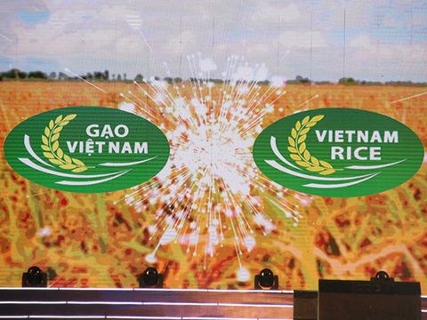 Xây dựng thương hiệu gạo Việt nhìn từ Festival lúa gạo năm 2018 (20/12/2018)