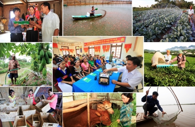 Việt Nam với chặng đường nỗ lực thực hiện mục tiêu: quốc gia không còn nạn đói (3/12/2018)