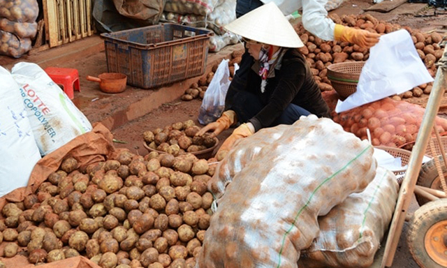 Vì sao hàng nông sản thường xuyên bị đội lốt? (10/12/2018)