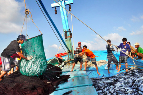 Việt Nam với những nỗ lực chống khai thác hải sản bất hợp pháp (2/11/2018)