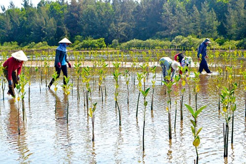 Loạt bài: “Nông nghiệp ứng phó biến đổi khí hậu - Khởi nguồn từ gieo mầm nhận thức”. Bài 2:Từ nhận thức đến hành động: Cần lực kéo (25/12/2018)