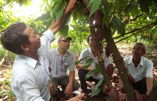 Làm sao để tránh điệp khúc 